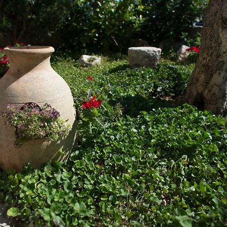 Grandi Trulli Bed & Breakfast Alberobello Exterior foto